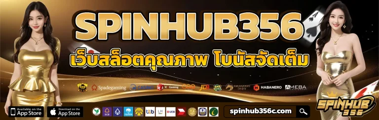 spinhub356